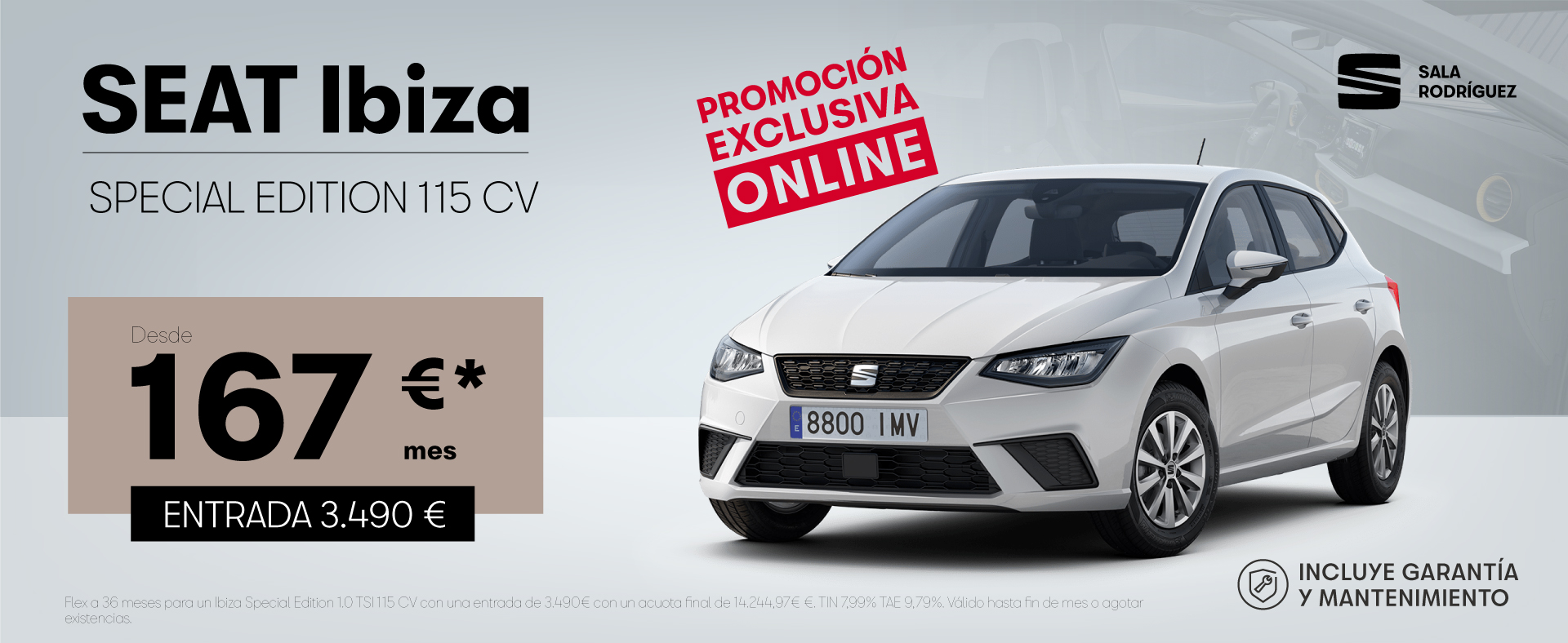 ¡Seat Ibiza Special Edition desde 167€*!